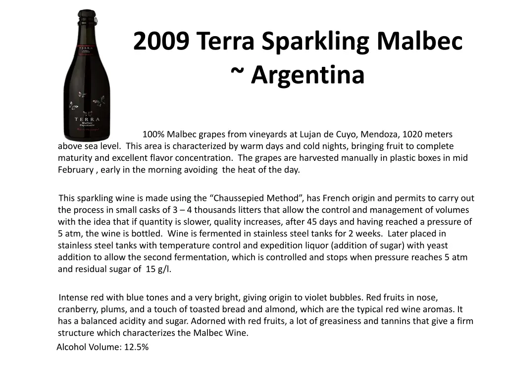 2009 terra sparkling malbec argentina