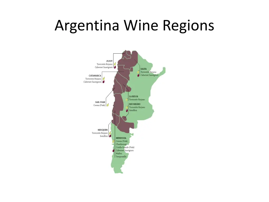 argentina wine regions