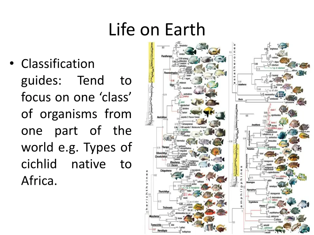 life on earth 3