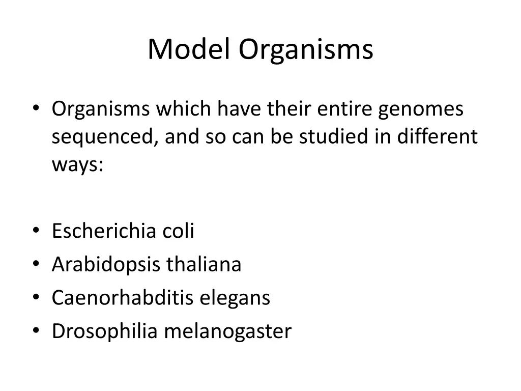 model organisms