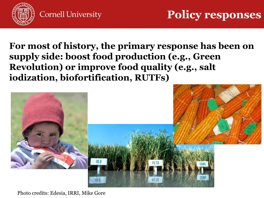 policy responses