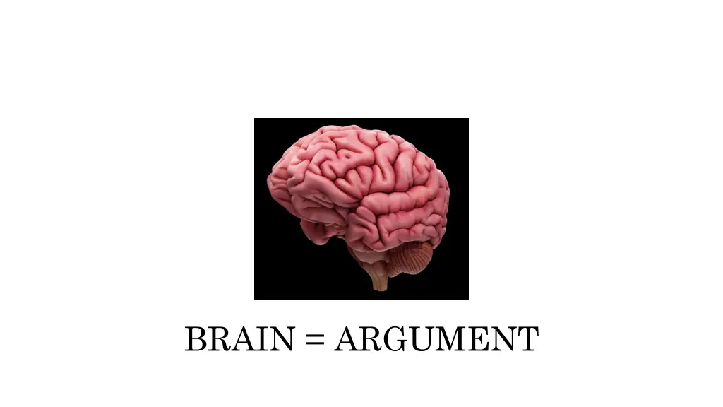 brain argument