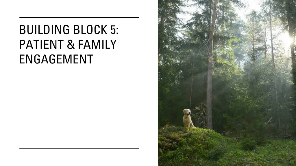 building block 5 patient family engagement