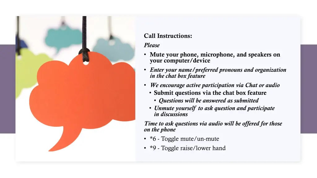 call instructions please mute your phone