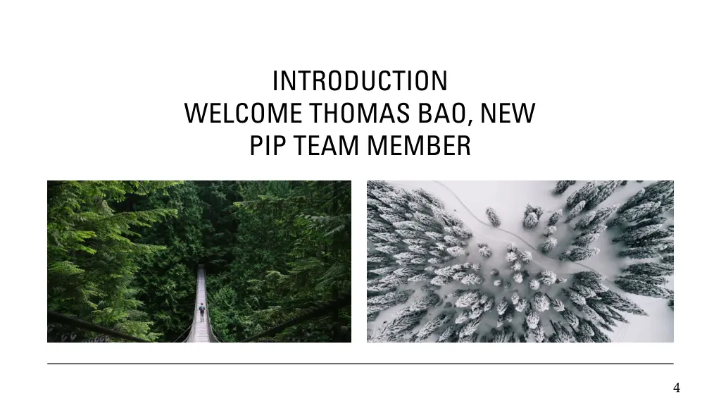 introduction welcome thomas bao new pip team