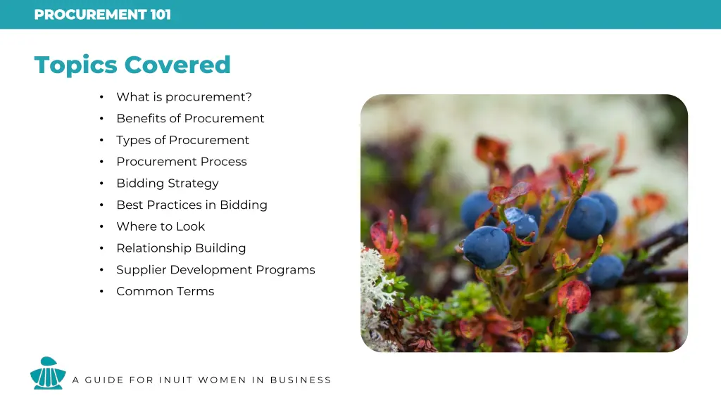 procurement 101 procurement 101