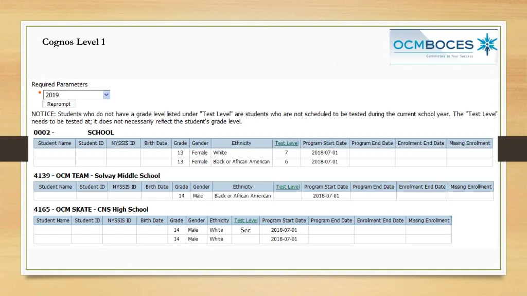 cognos level 1 1