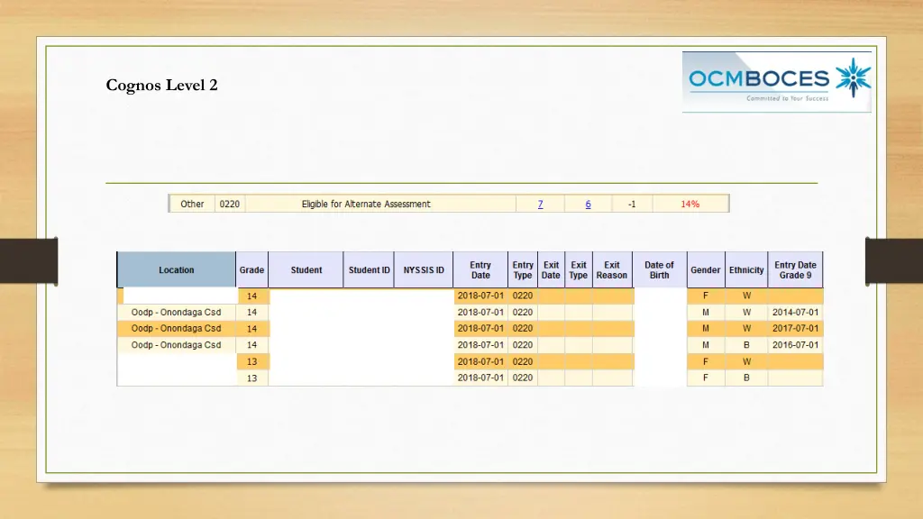 cognos level 2 1