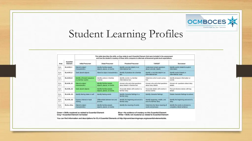 student learning profiles