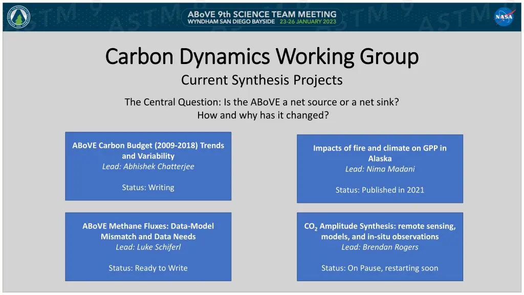 carbon dynamics working group carbon dynamics 1