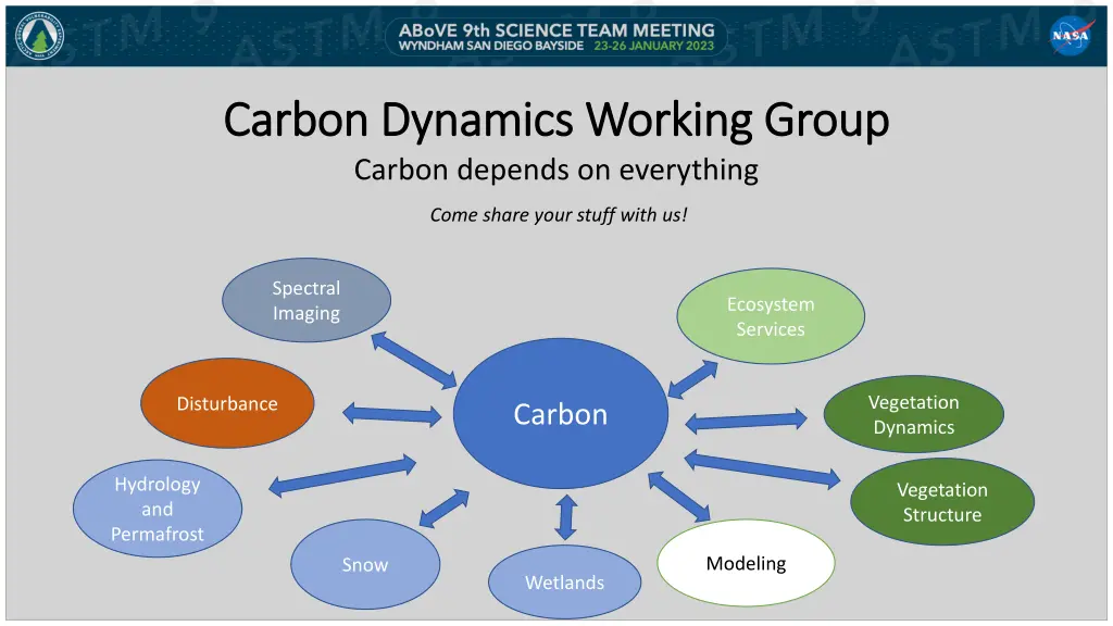 carbon dynamics working group carbon dynamics 4