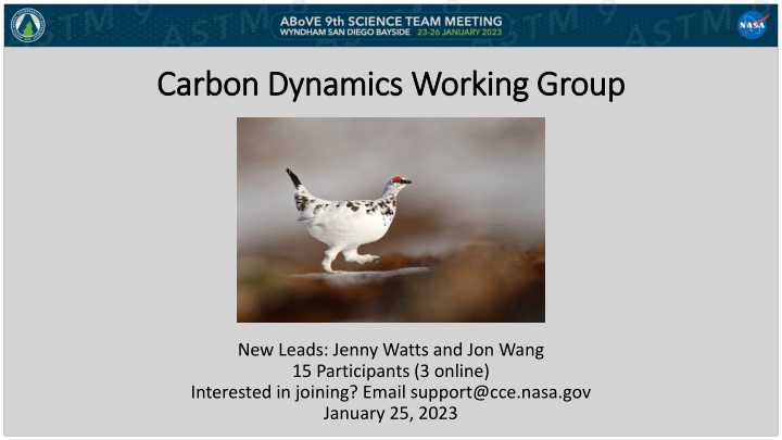 carbon dynamics working group carbon dynamics