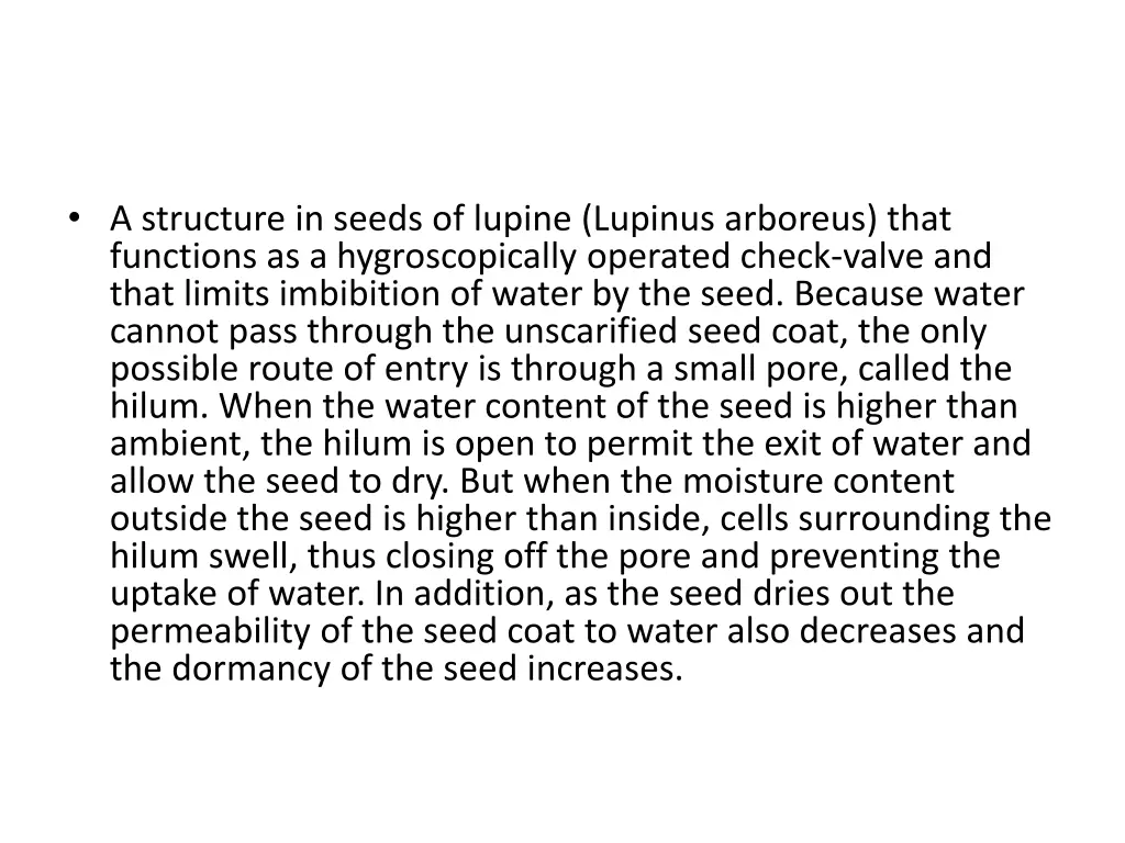a structure in seeds of lupine lupinus arboreus