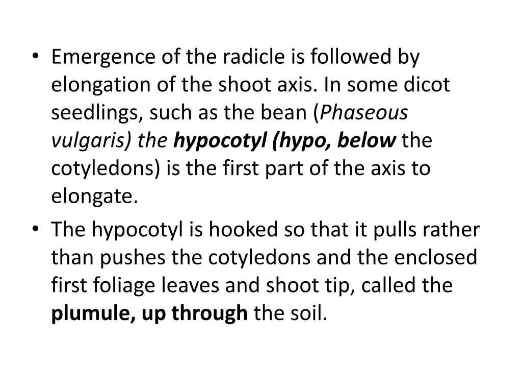 emergence of the radicle is followed