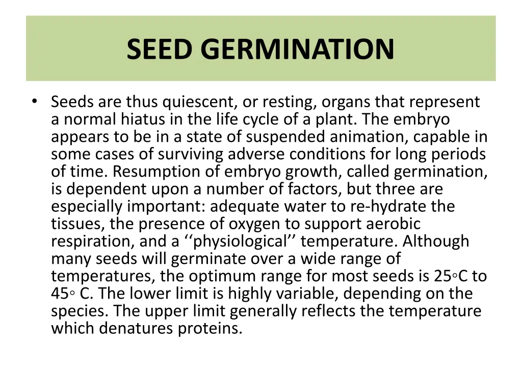 seed germination