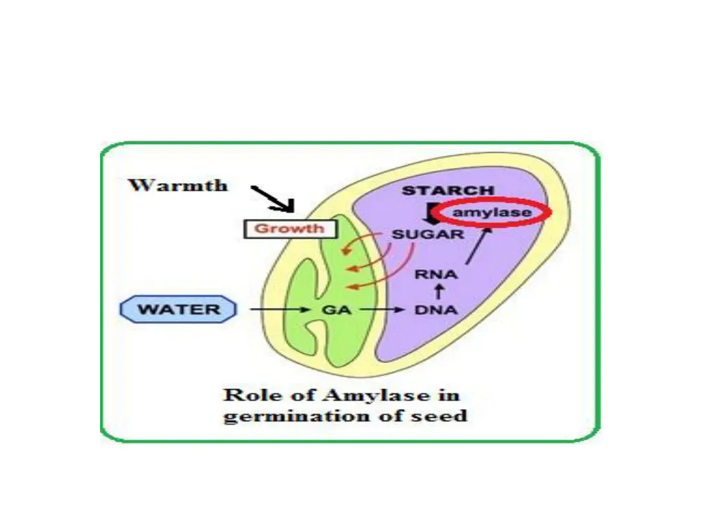 slide27