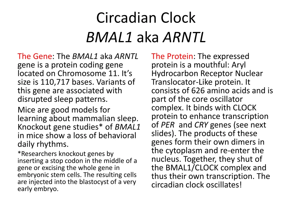 circadian clock bmal1 aka arntl