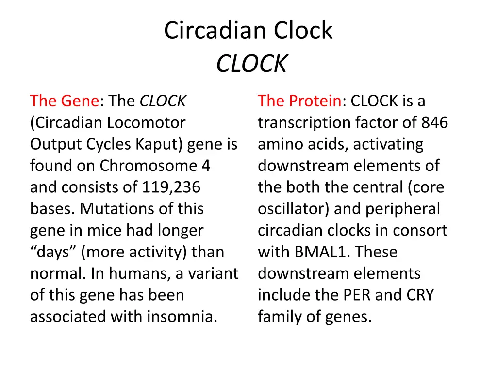 circadian clock clock