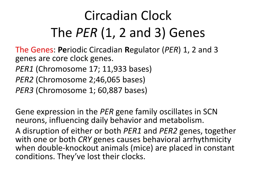 circadian clock the per 1 2 and 3 genes