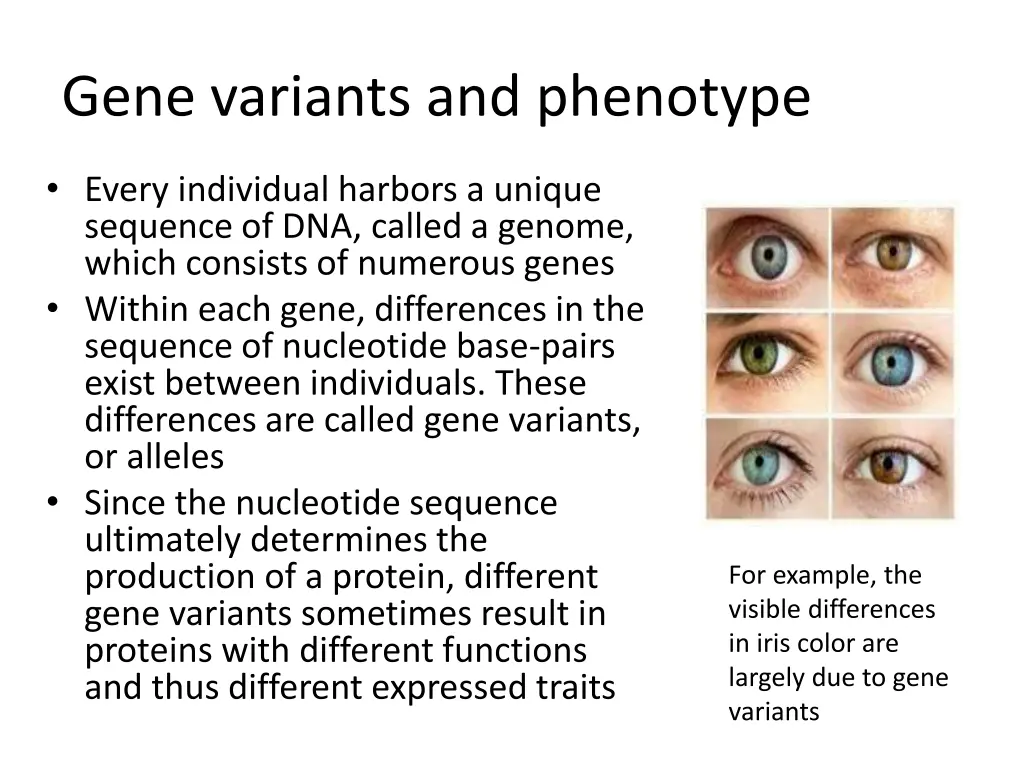 gene variants and phenotype
