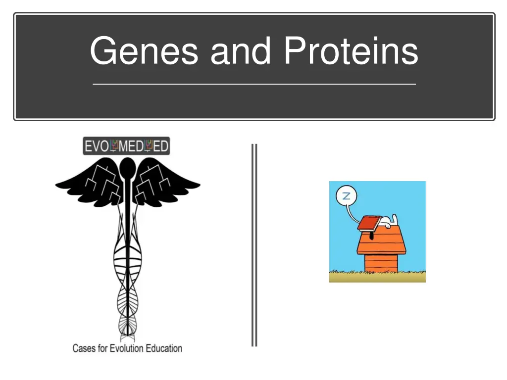 genes and proteins