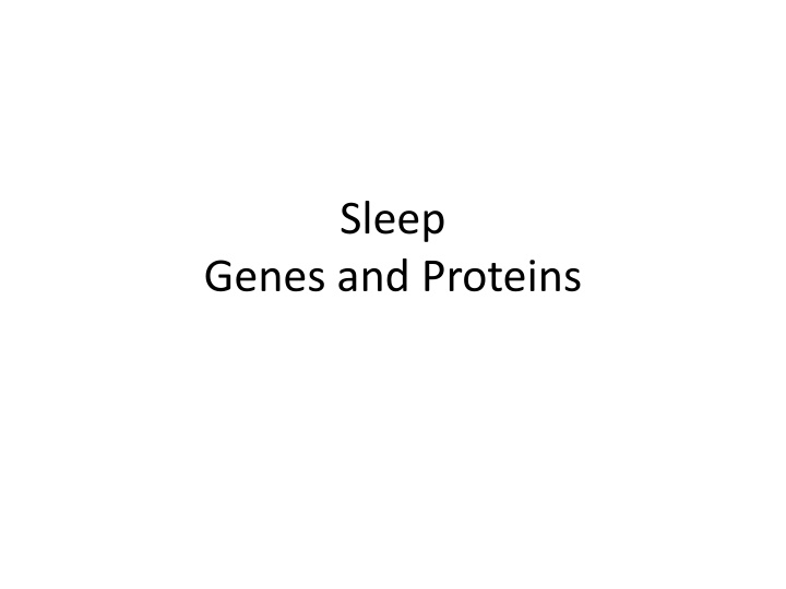 sleep