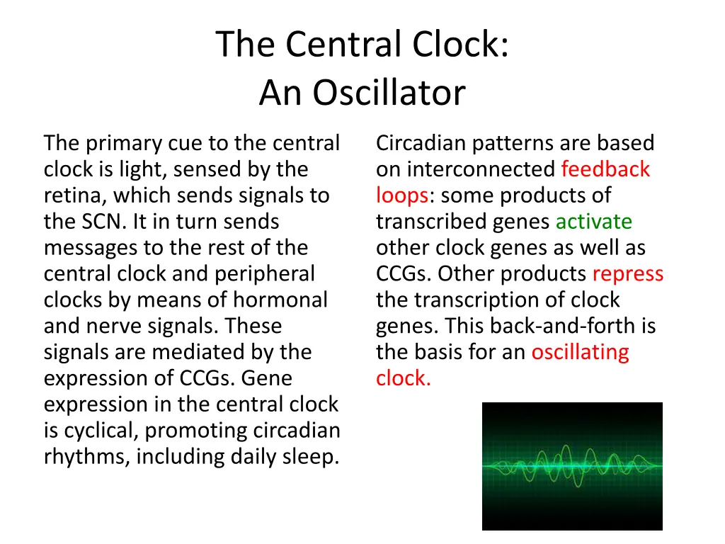 the central clock an oscillator