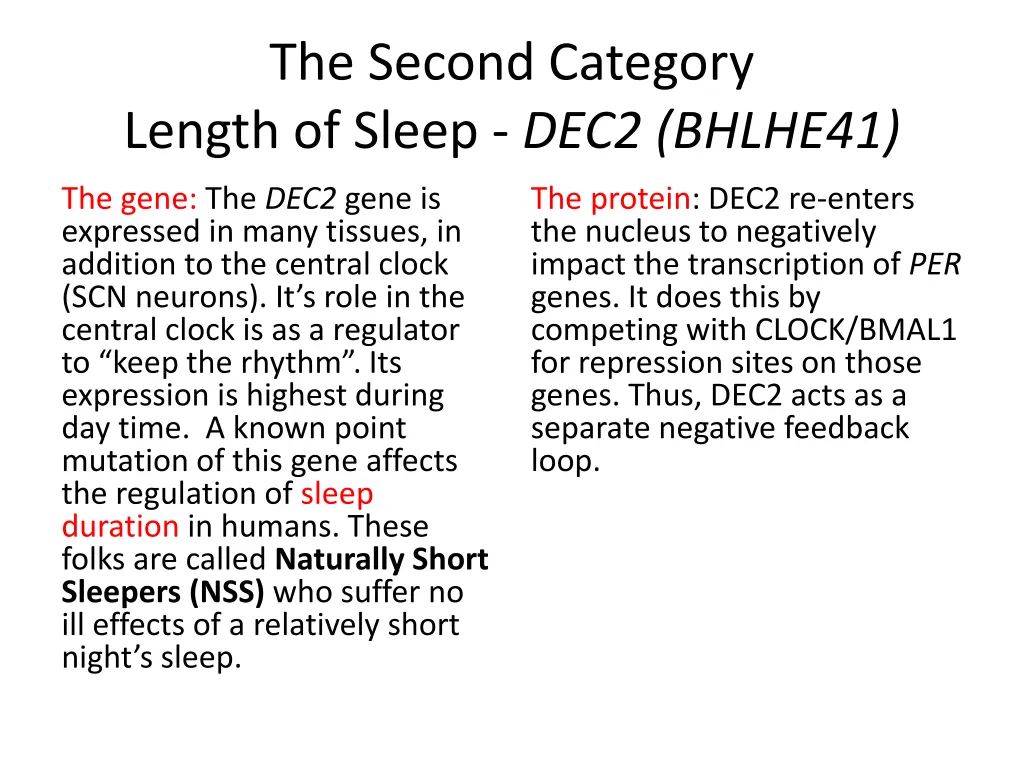 the second category length of sleep dec2 bhlhe41