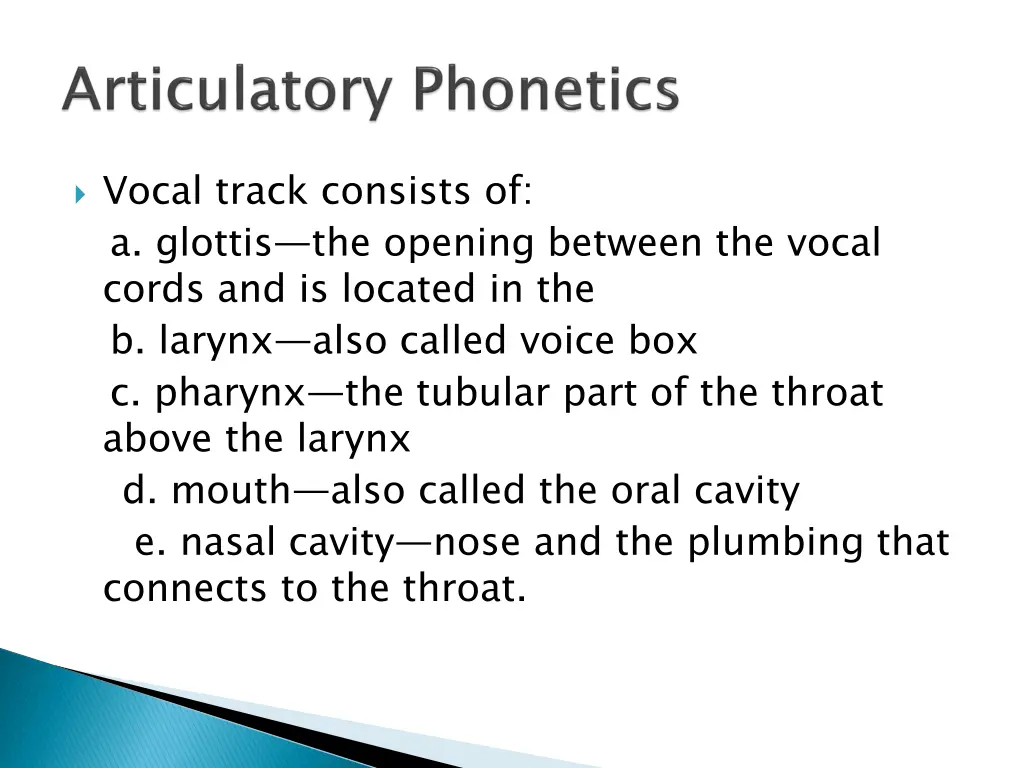 vocal track consists of a glottis the opening