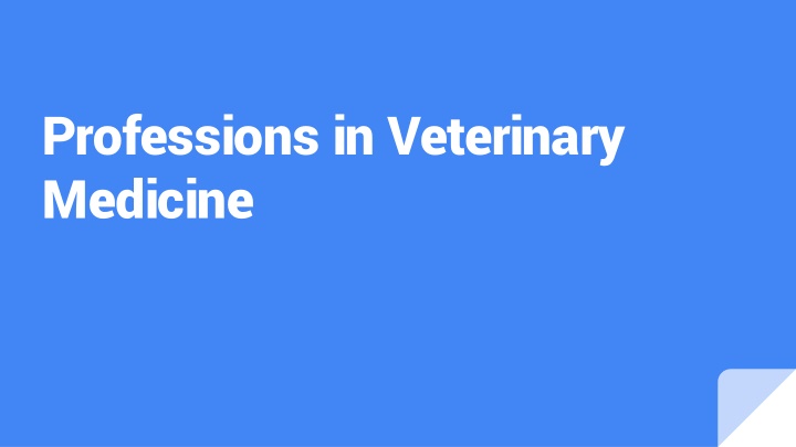 professions in veterinary medicine