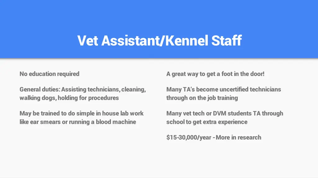 vet assistant kennel staff