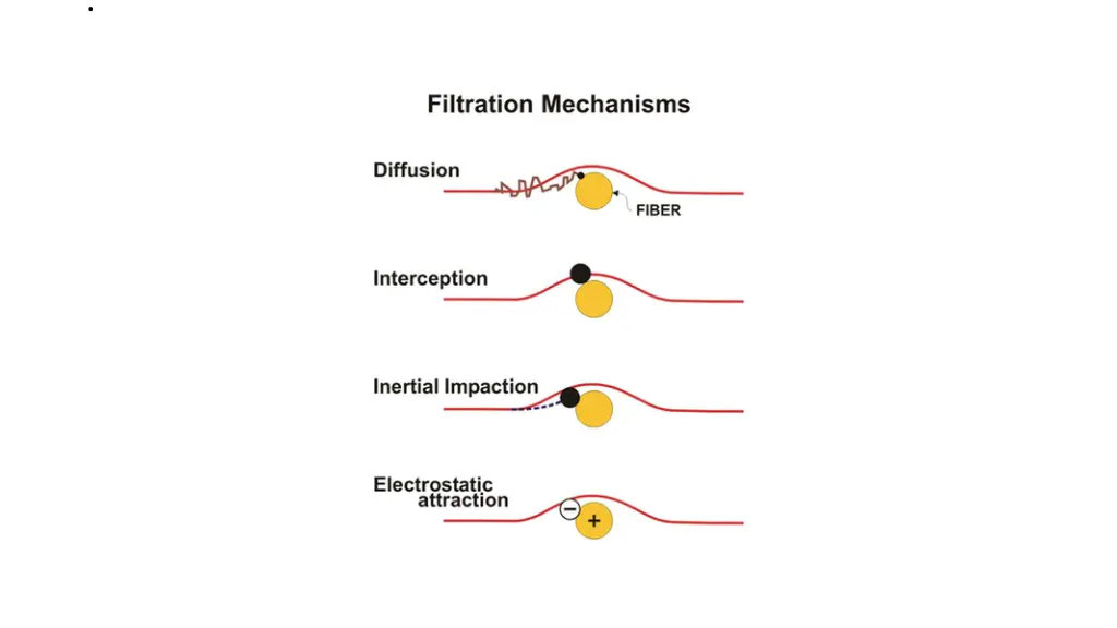slide8