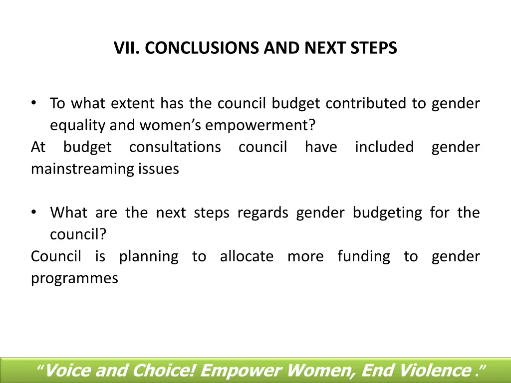 vii conclusions and next steps