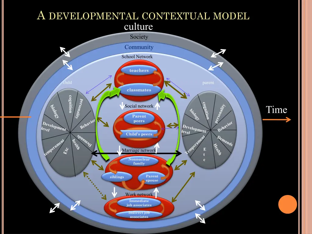 a developmental contextual model culture society