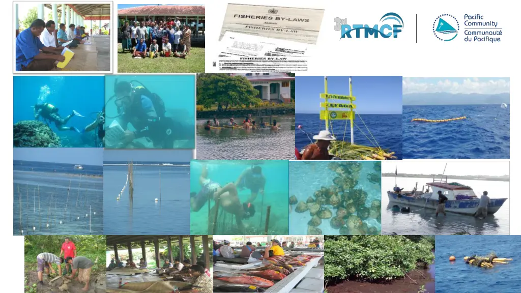slide12