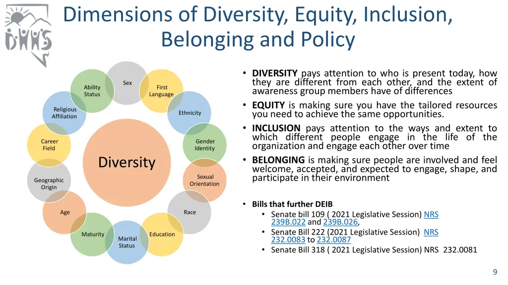 dimensions of diversity equity inclusion