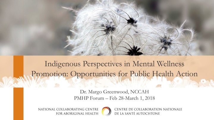 indigenous perspectives in mental wellness