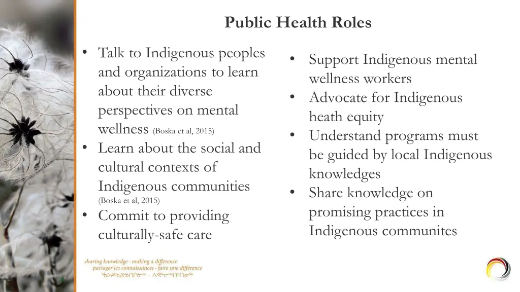 public health roles