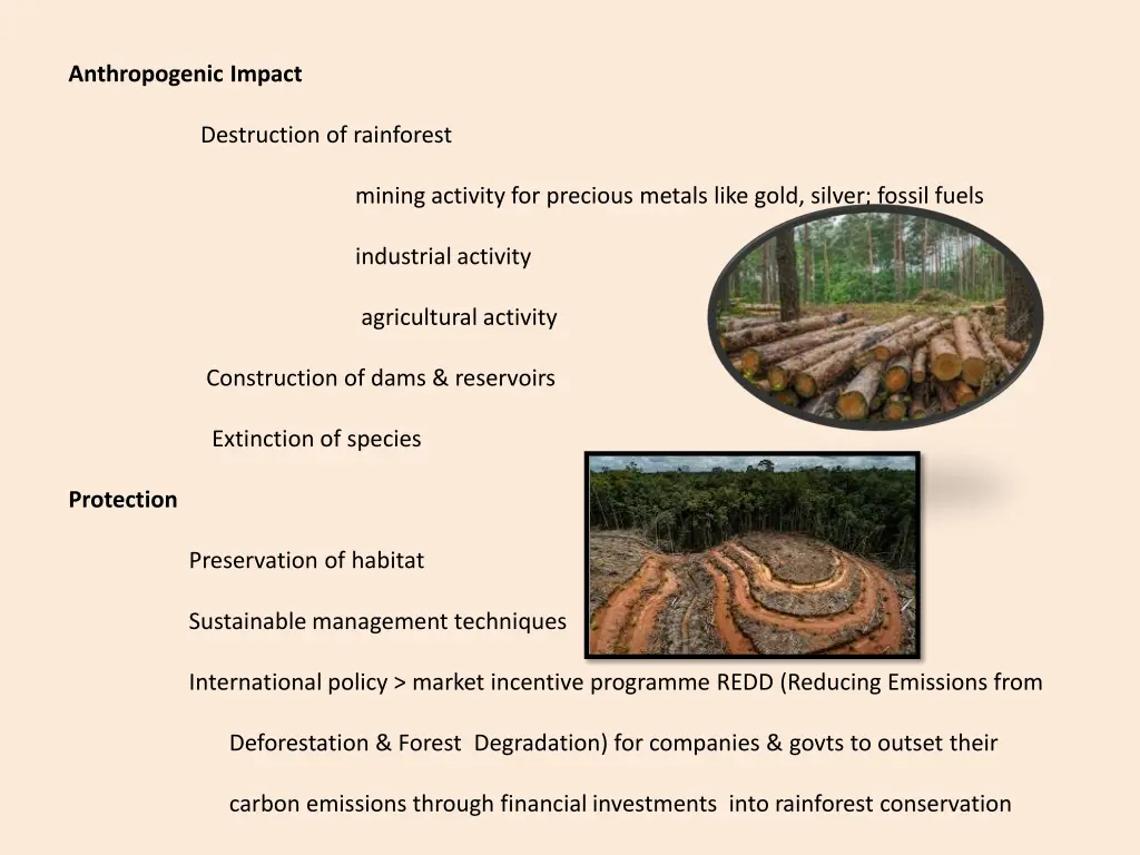 anthropogenic impact