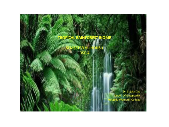 tropical rainforest biome