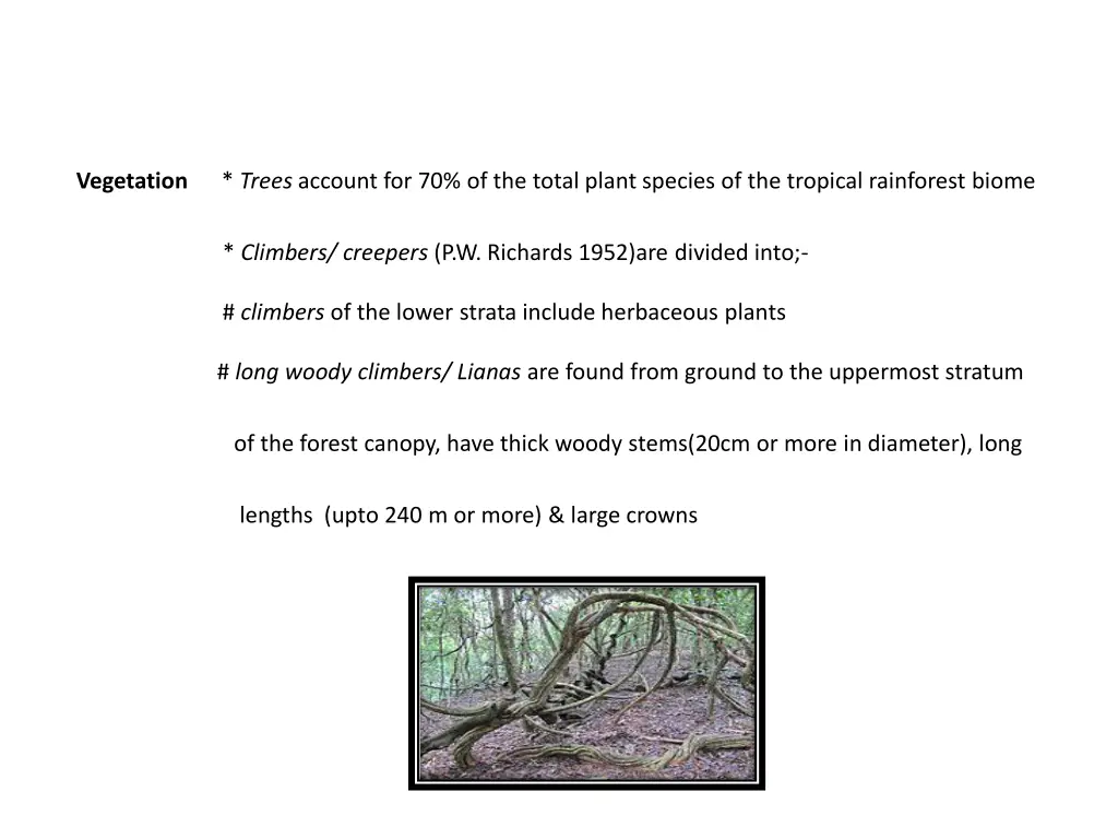 vegetation