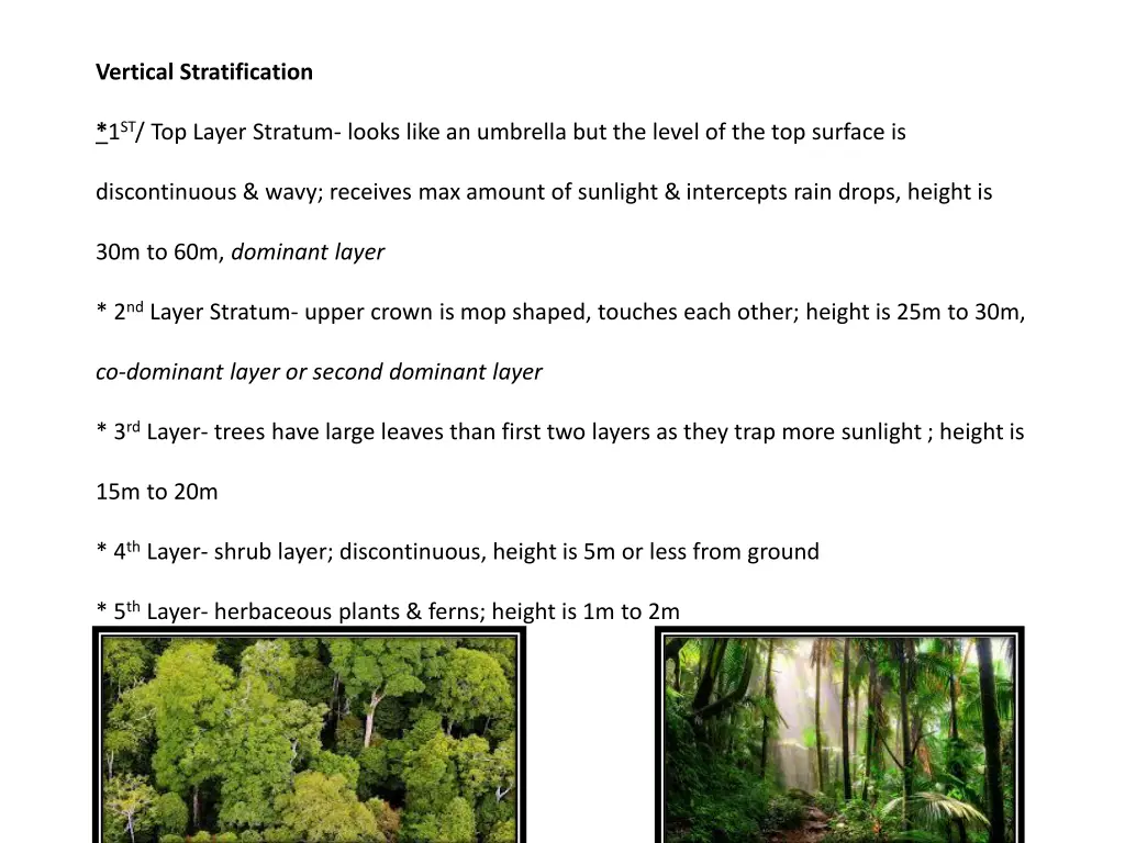 vertical stratification