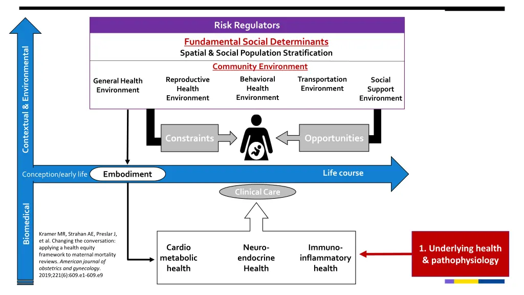 risk regulators 1