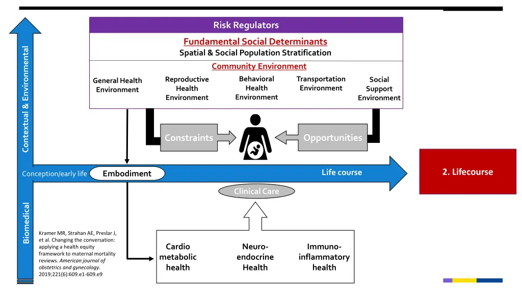 risk regulators 2