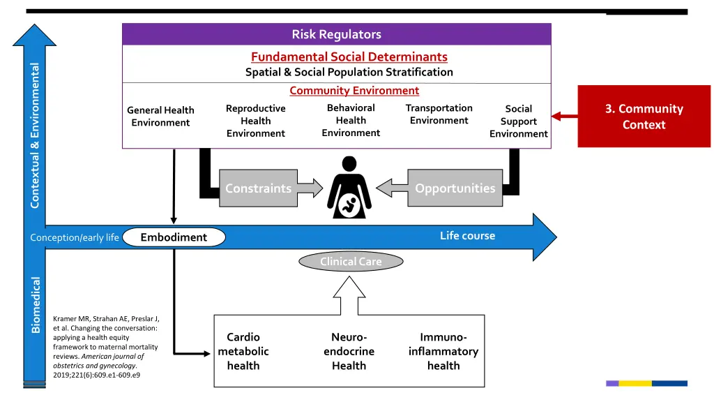 risk regulators 3