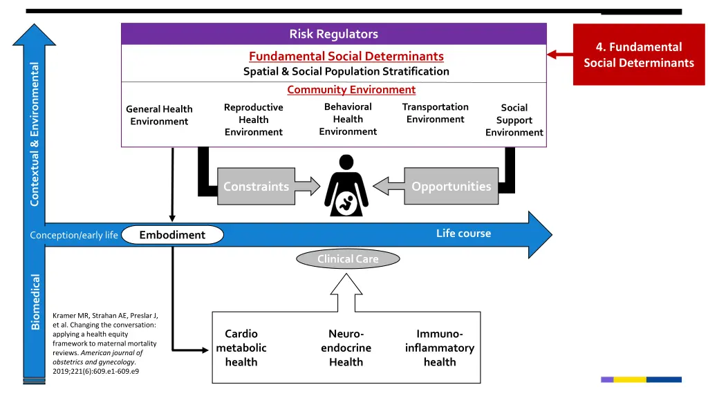 risk regulators 4
