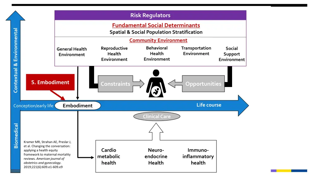 risk regulators 5
