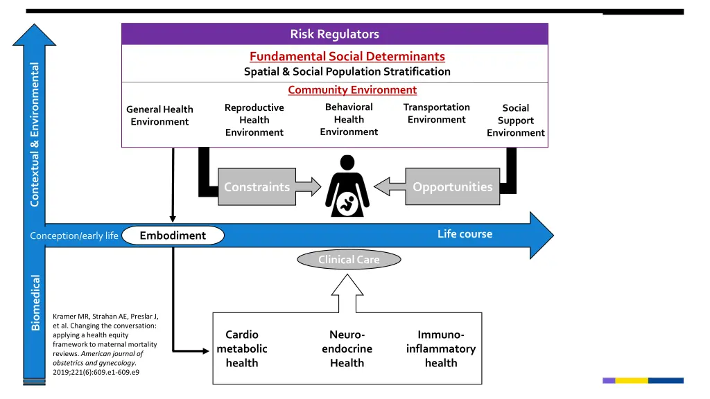 risk regulators