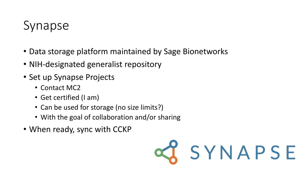 synapse