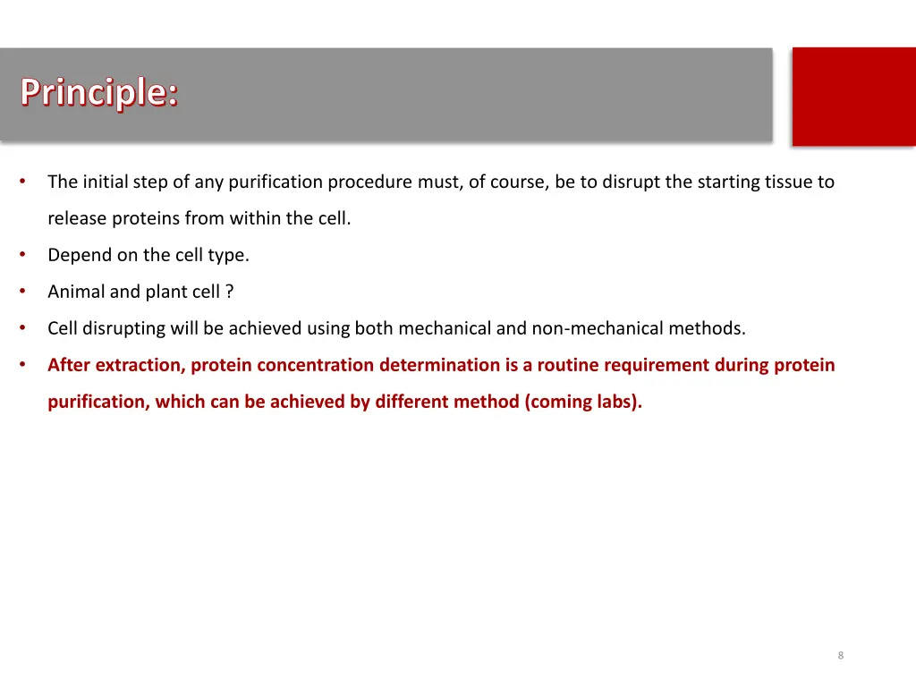 principle